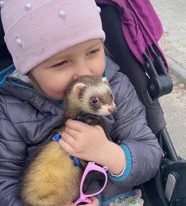 Тхорик Чуча, самиця