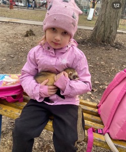 Тхорик Чуча, самиця