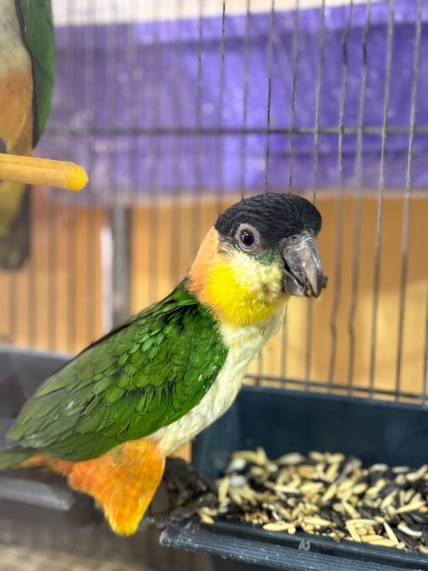 Малюки парашут каік ручні повністью