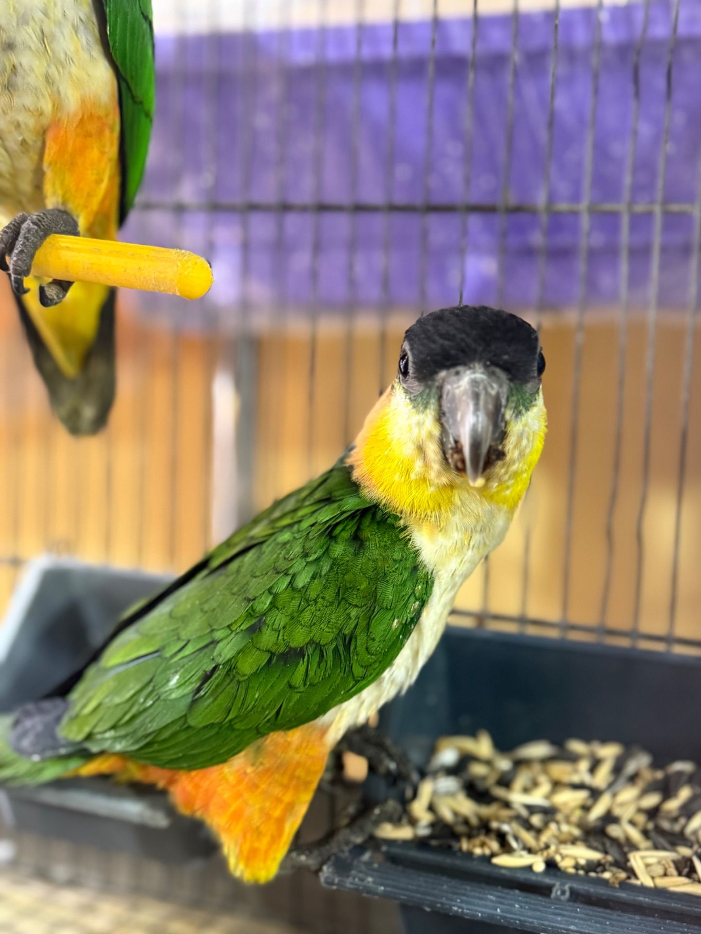 Малюки парашут каік ручні повністью