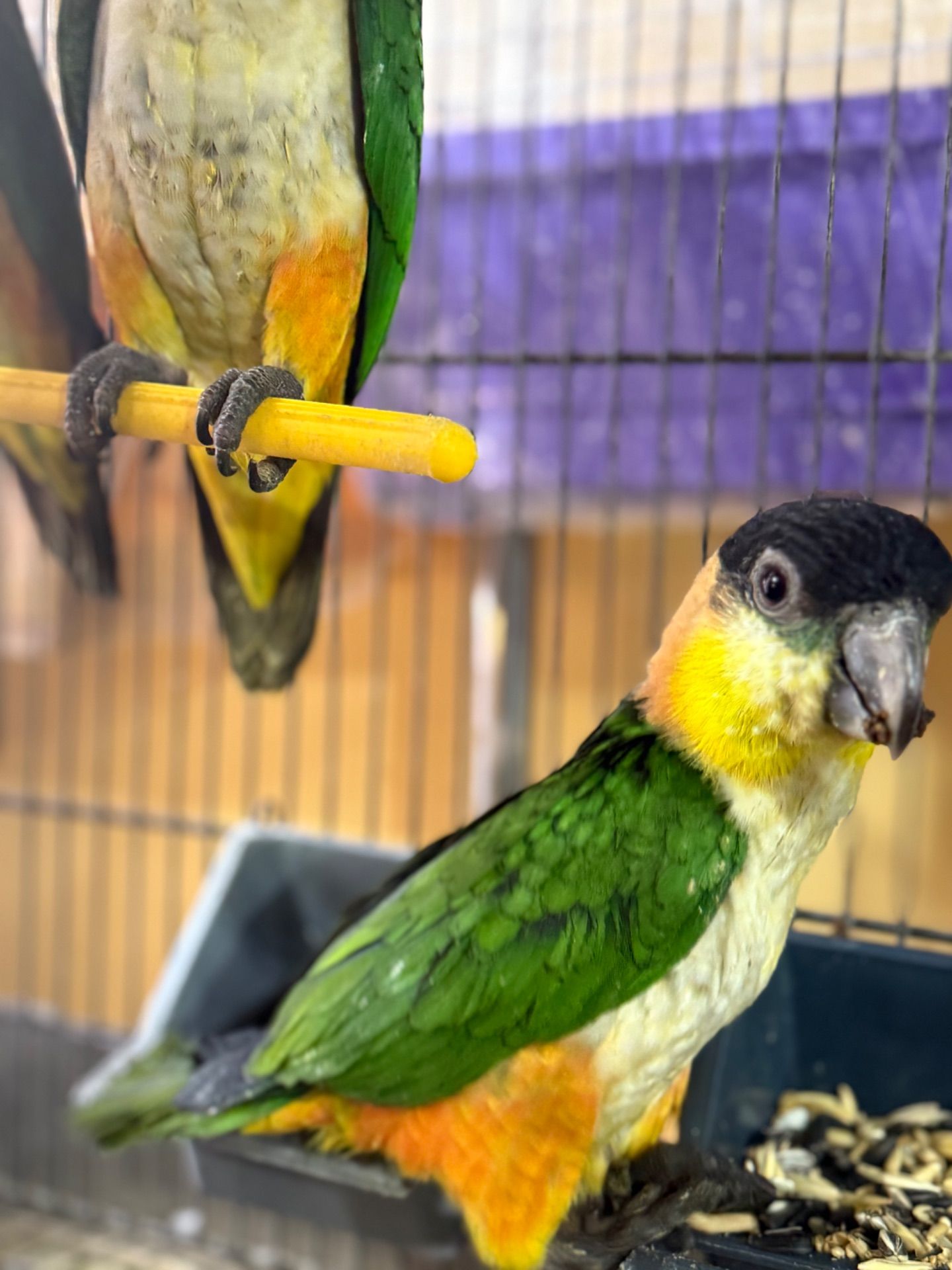 Малюки парашут каік ручні повністью