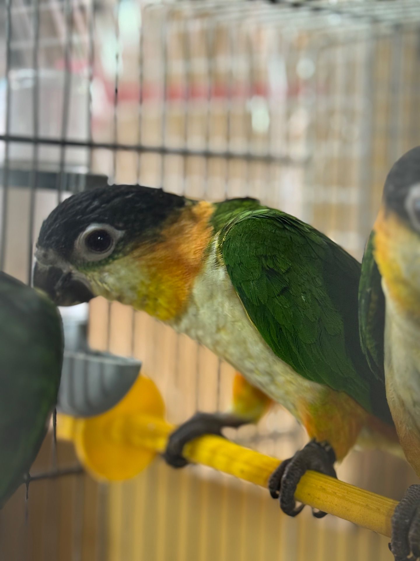 Малюки парашут каік ручні повністью