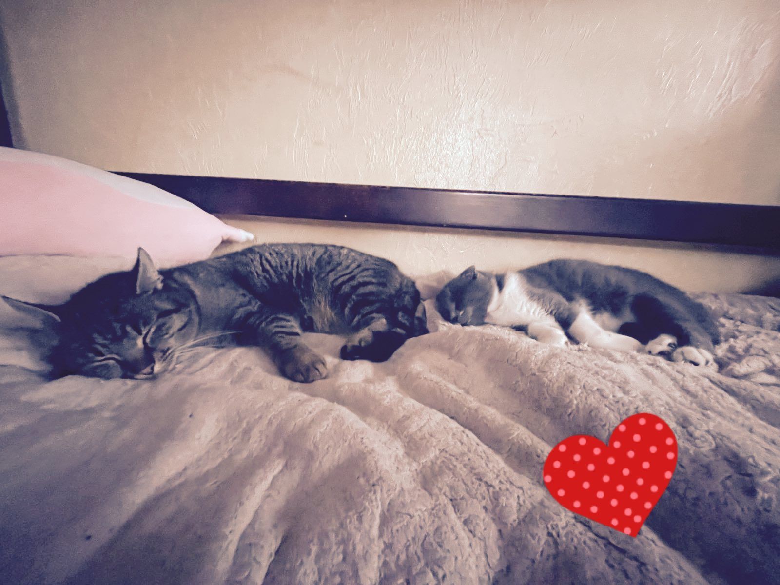 Хлопчику 3 місяці, має ім'я Том