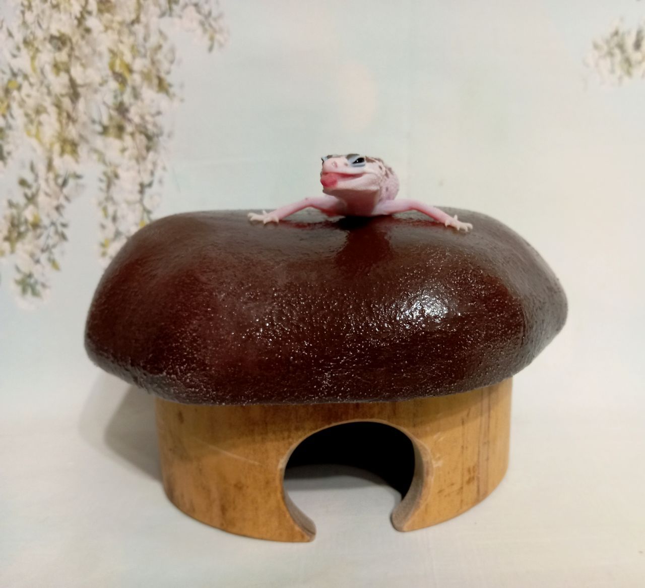 Леопардовый геккон эублефар