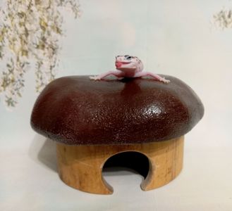 Леопардовый геккон эублефар