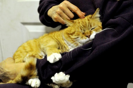 Рудольф (Рудік)