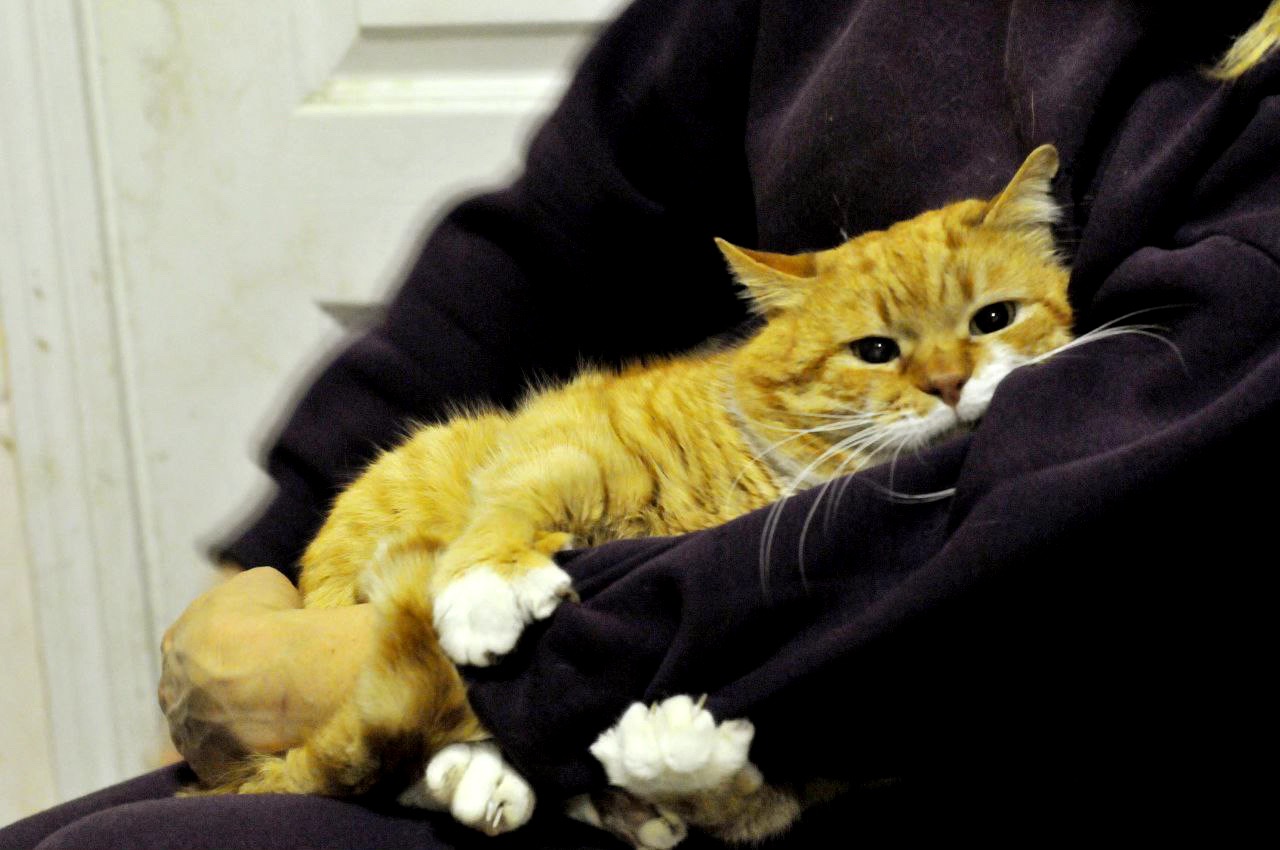 Рудольф (Рудік)