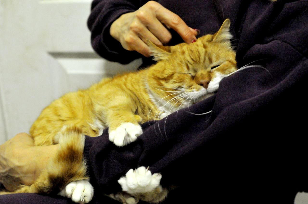 Рудольф (Рудік)