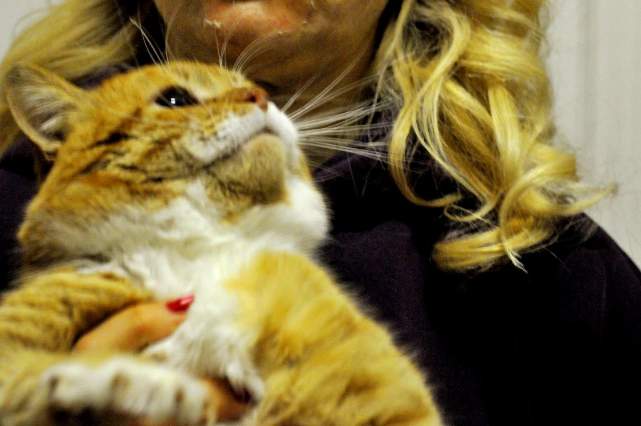 Рудольф (Рудік)