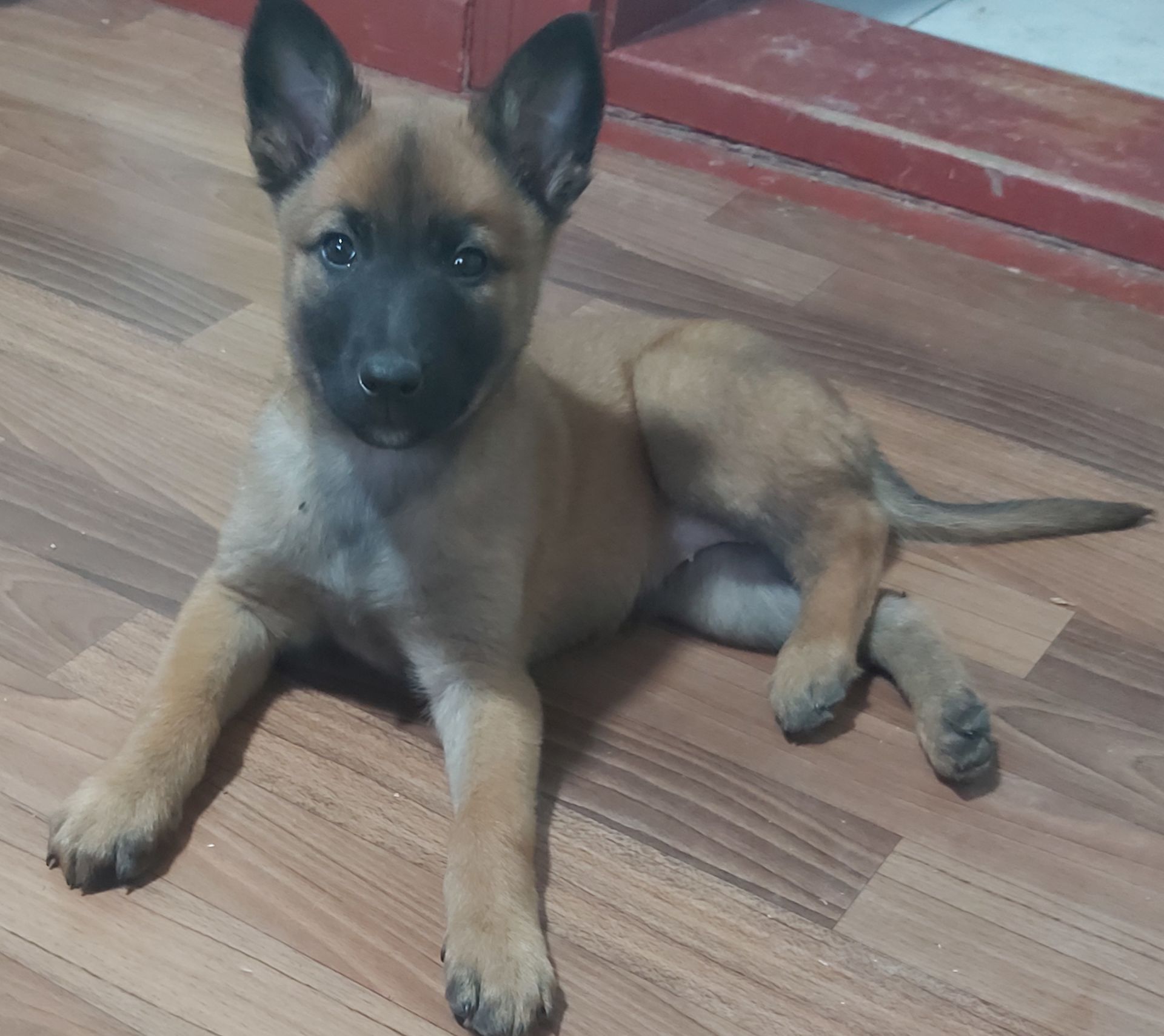 Чарівна дівчинка чекає на люблячу родину