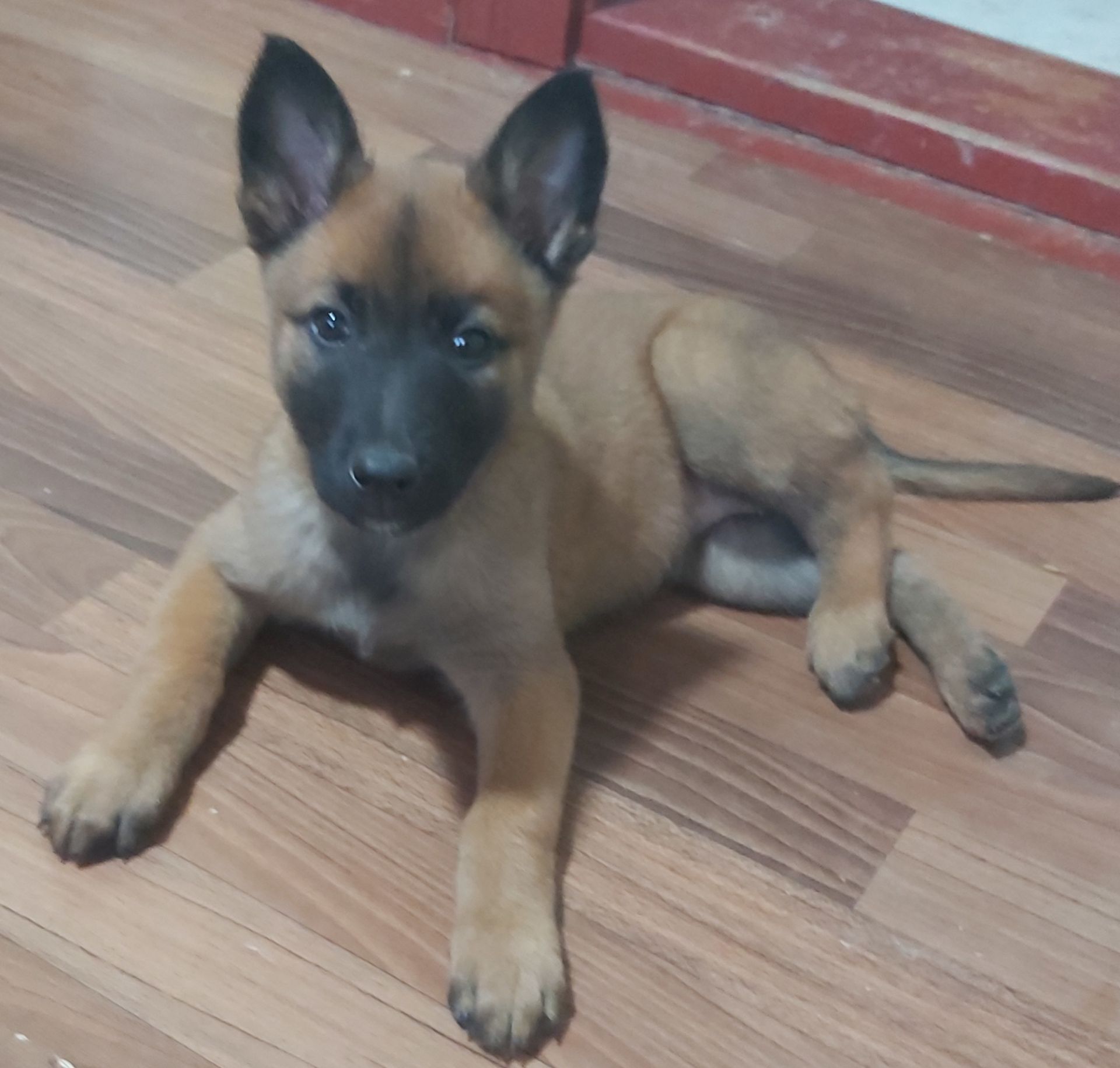 Чарівна дівчинка чекає на люблячу родину