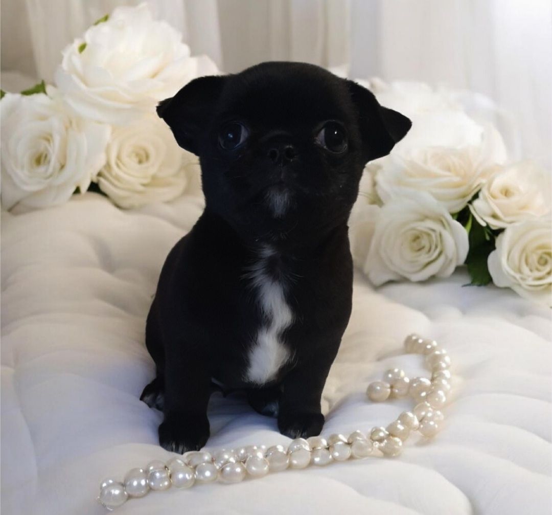 Чорна VIP перлинка!