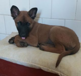 Чарівна дівчинка чекає на люблячу родину