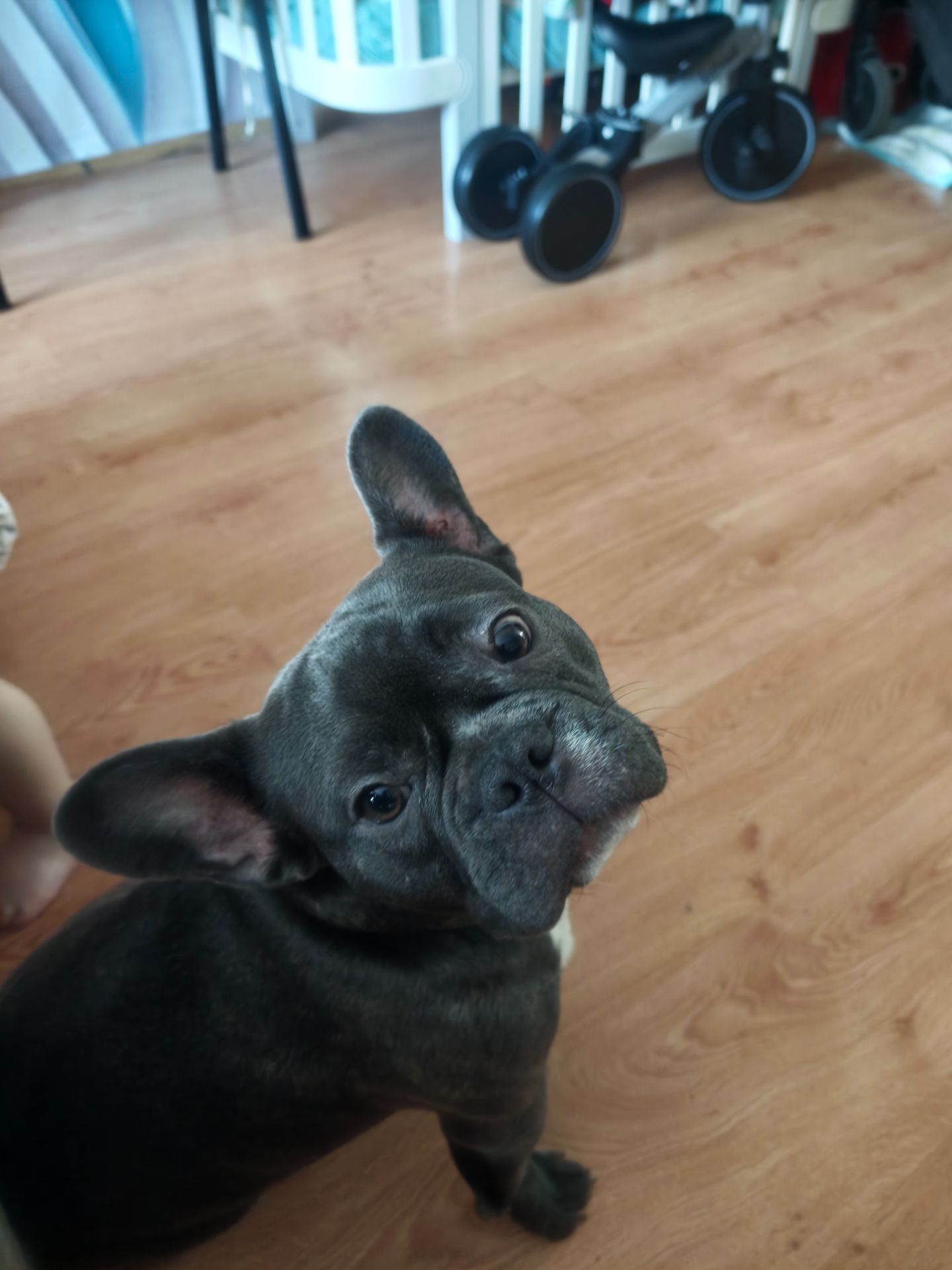 Срочная продажа