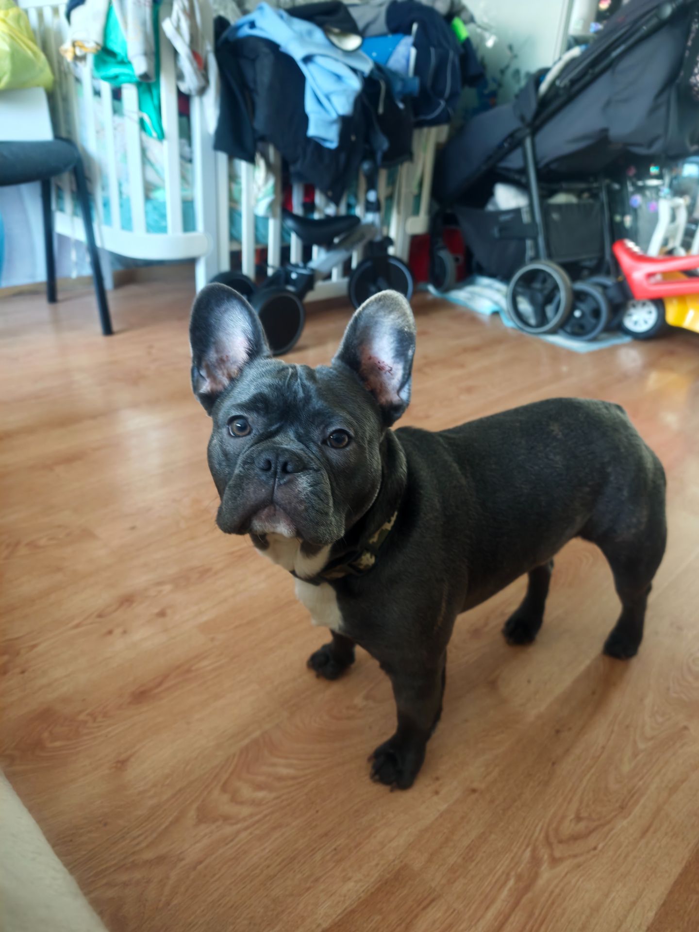 Срочная продажа