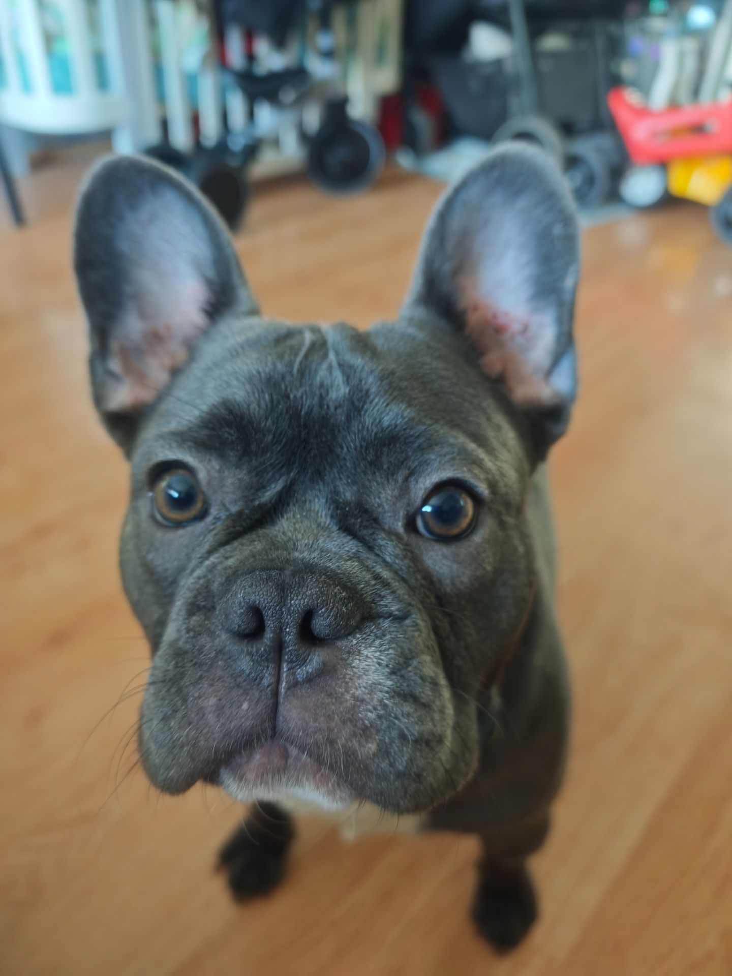 Срочная продажа