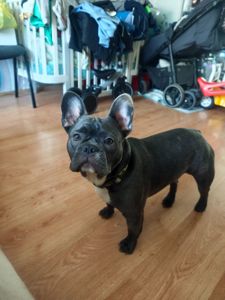 Срочная продажа