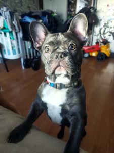 Срочная продажа