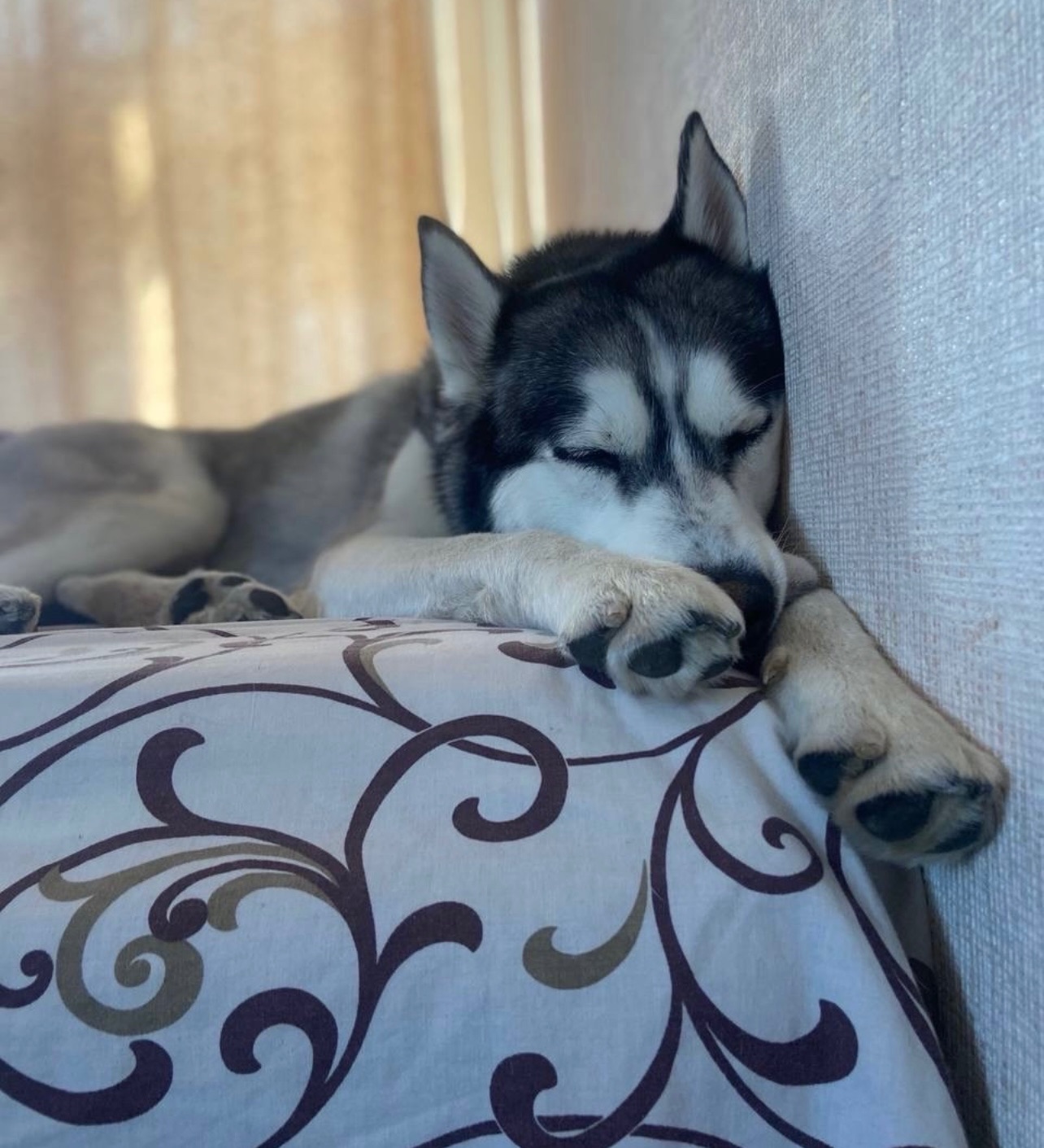 Хлопчик шукає дім!!!