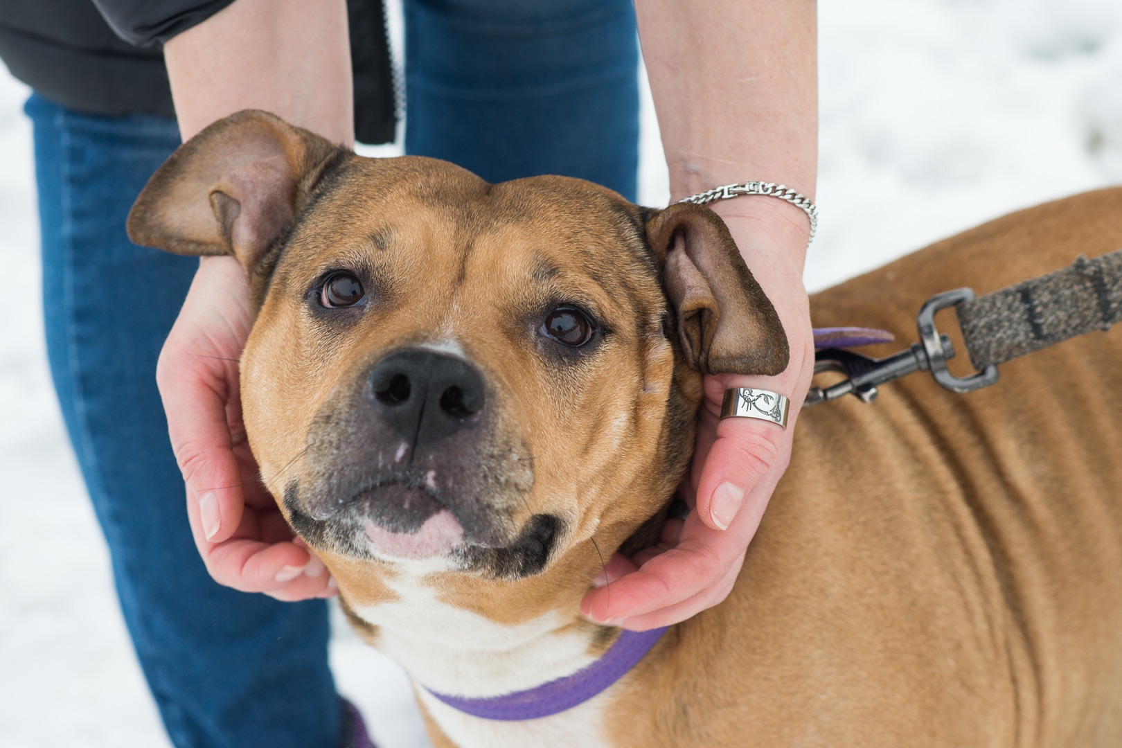 Меррі шукає родину