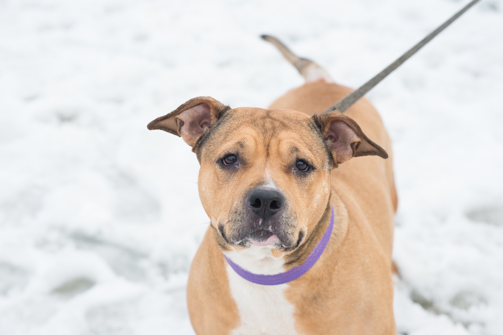 Меррі шукає родину