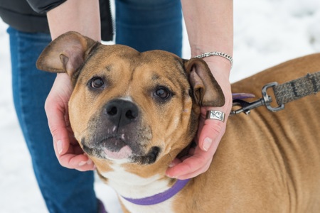 Меррі шукає родину