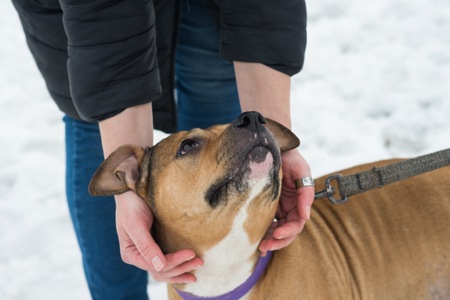 Меррі шукає родину