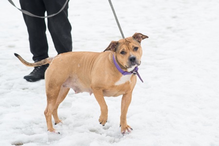 Меррі шукає родину