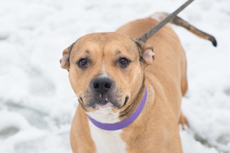 Меррі шукає родину