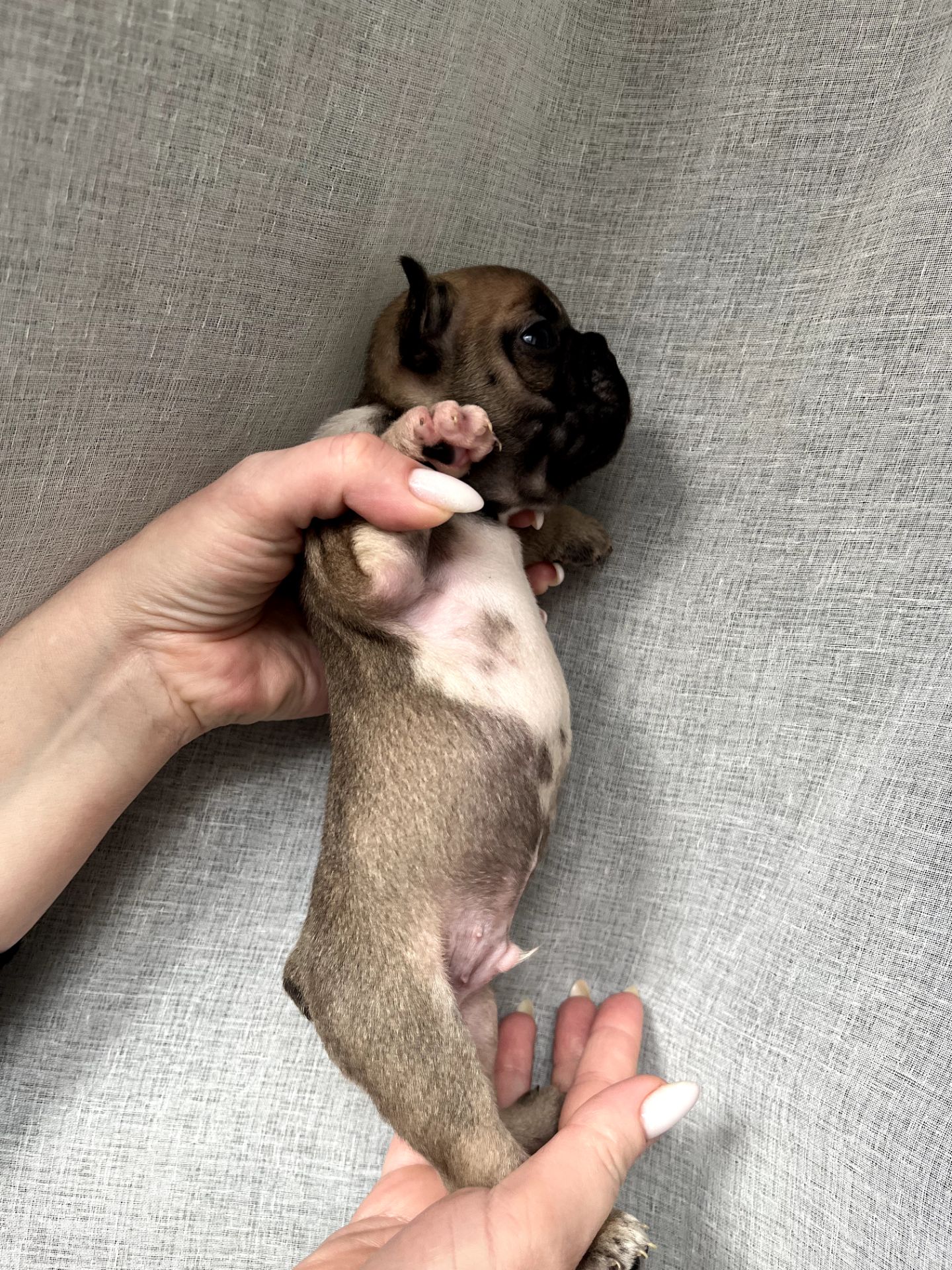 Бронювання/ продаж