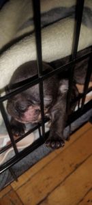 Бронювання/ продаж