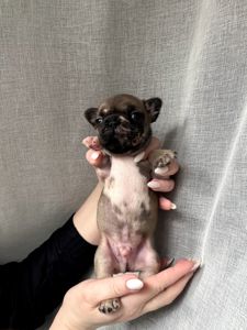 Бронювання/ продаж