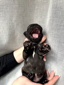 Бронювання/ продаж