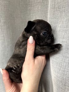 Бронювання/ продаж