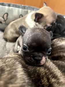 Бронювання/ продаж