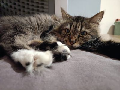 Не оминай красуню Соню🤩