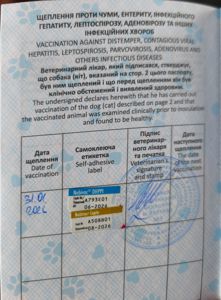 Йорік дівчинка остання