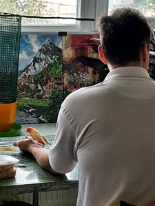 Канарка та кенар - пара