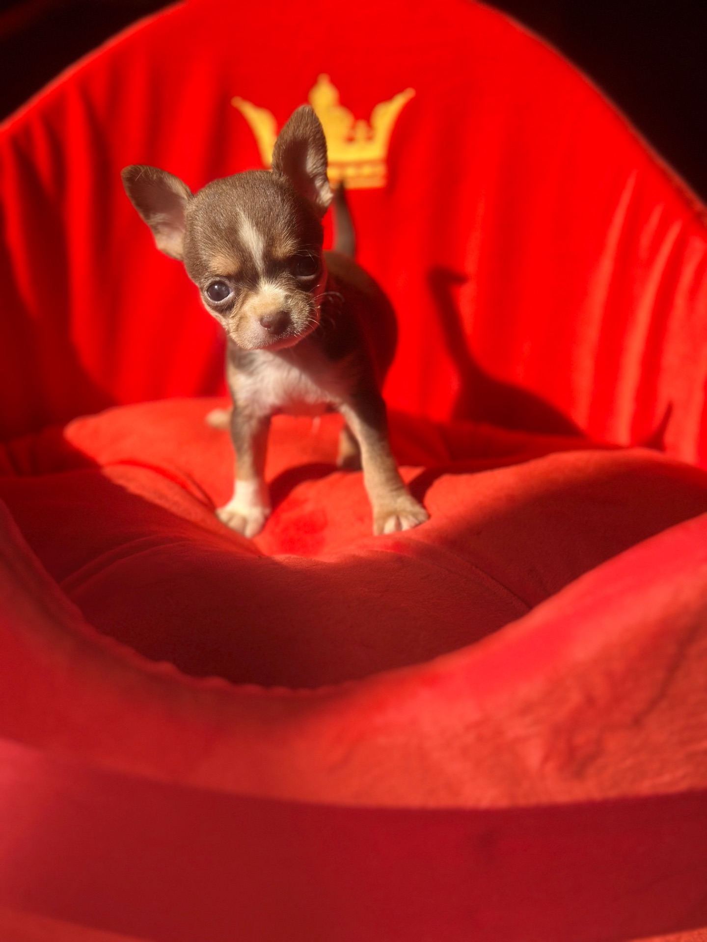 мальЧишки мини и микро