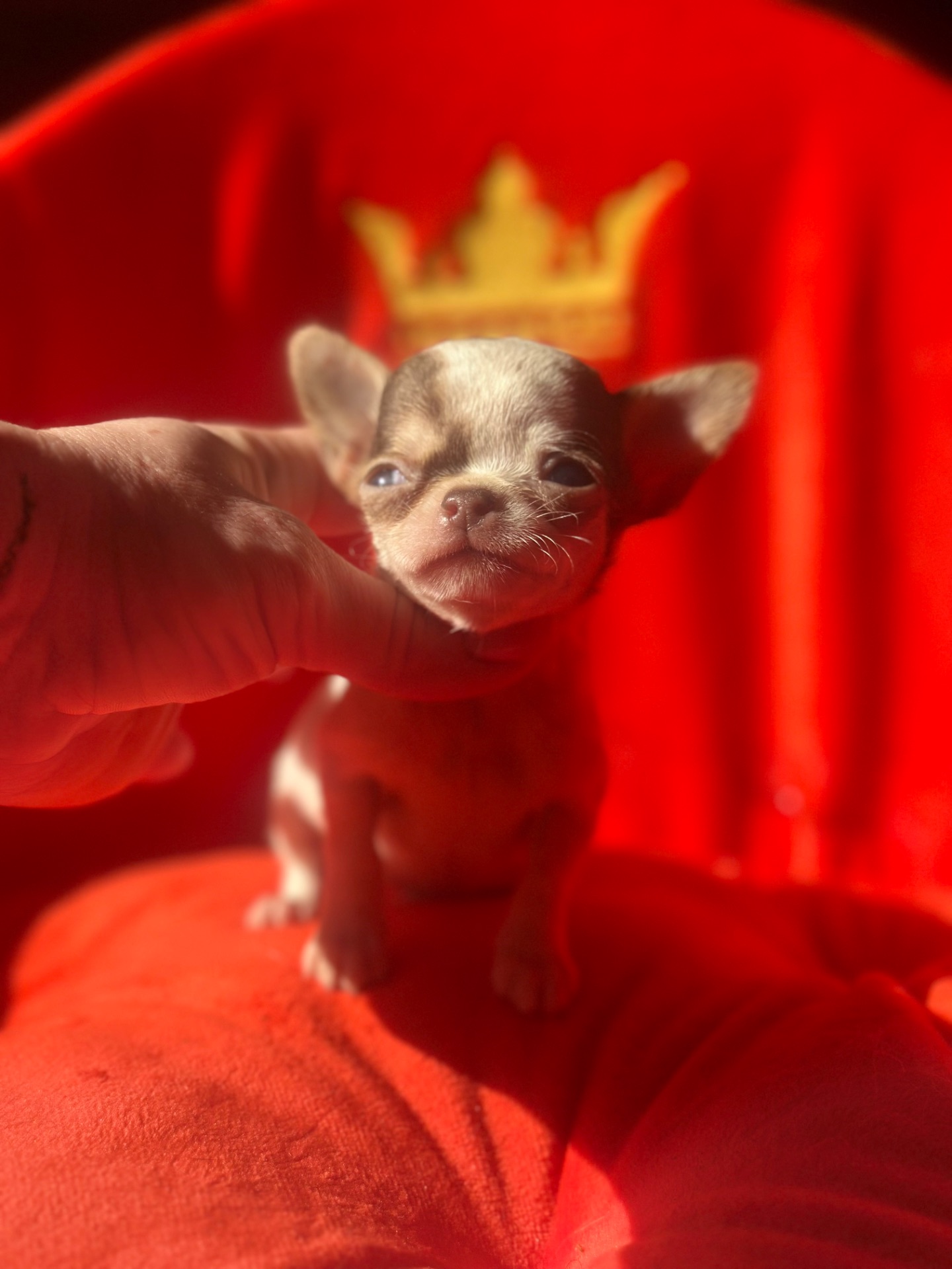 мальЧишки мини и микро