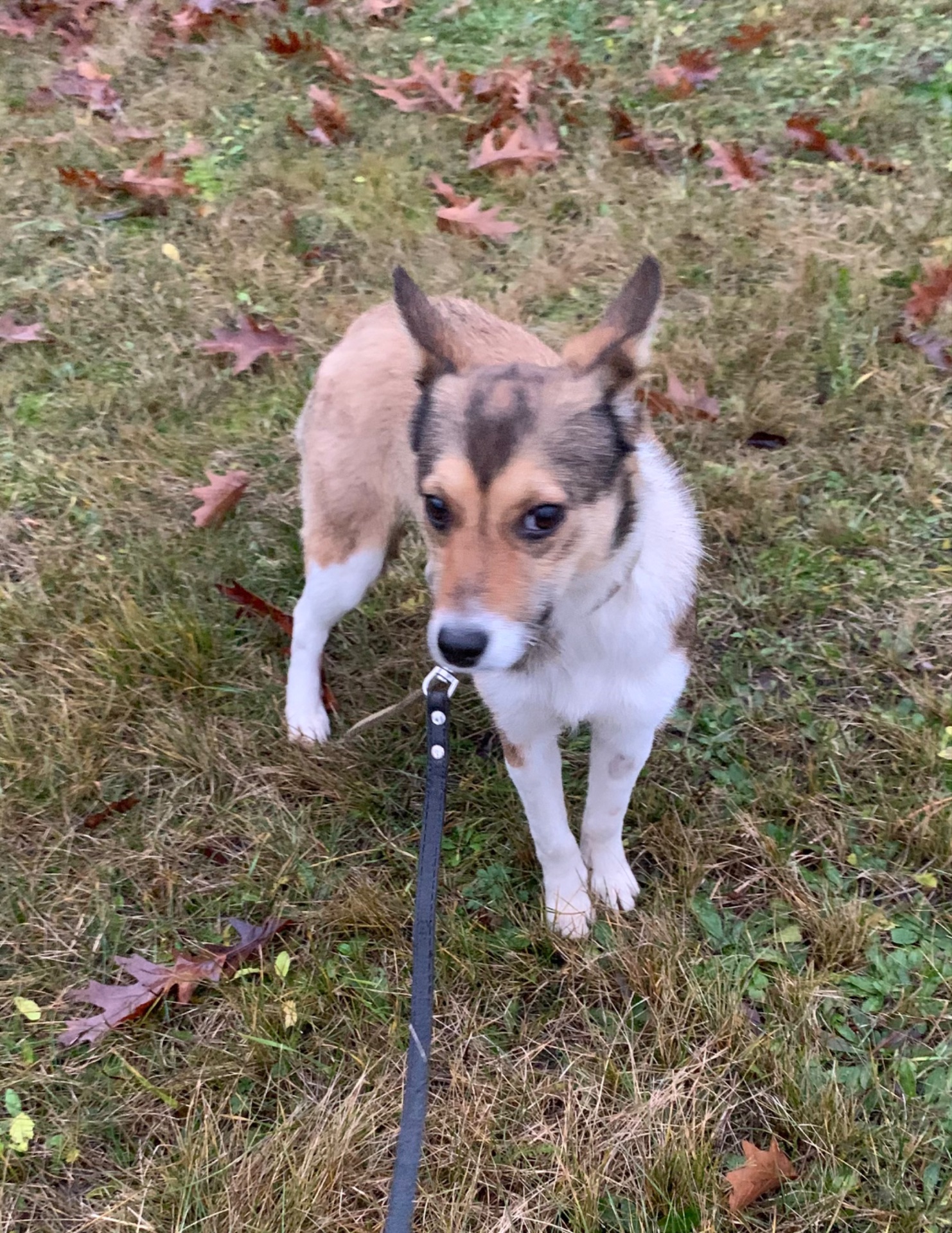 Шанс на життя