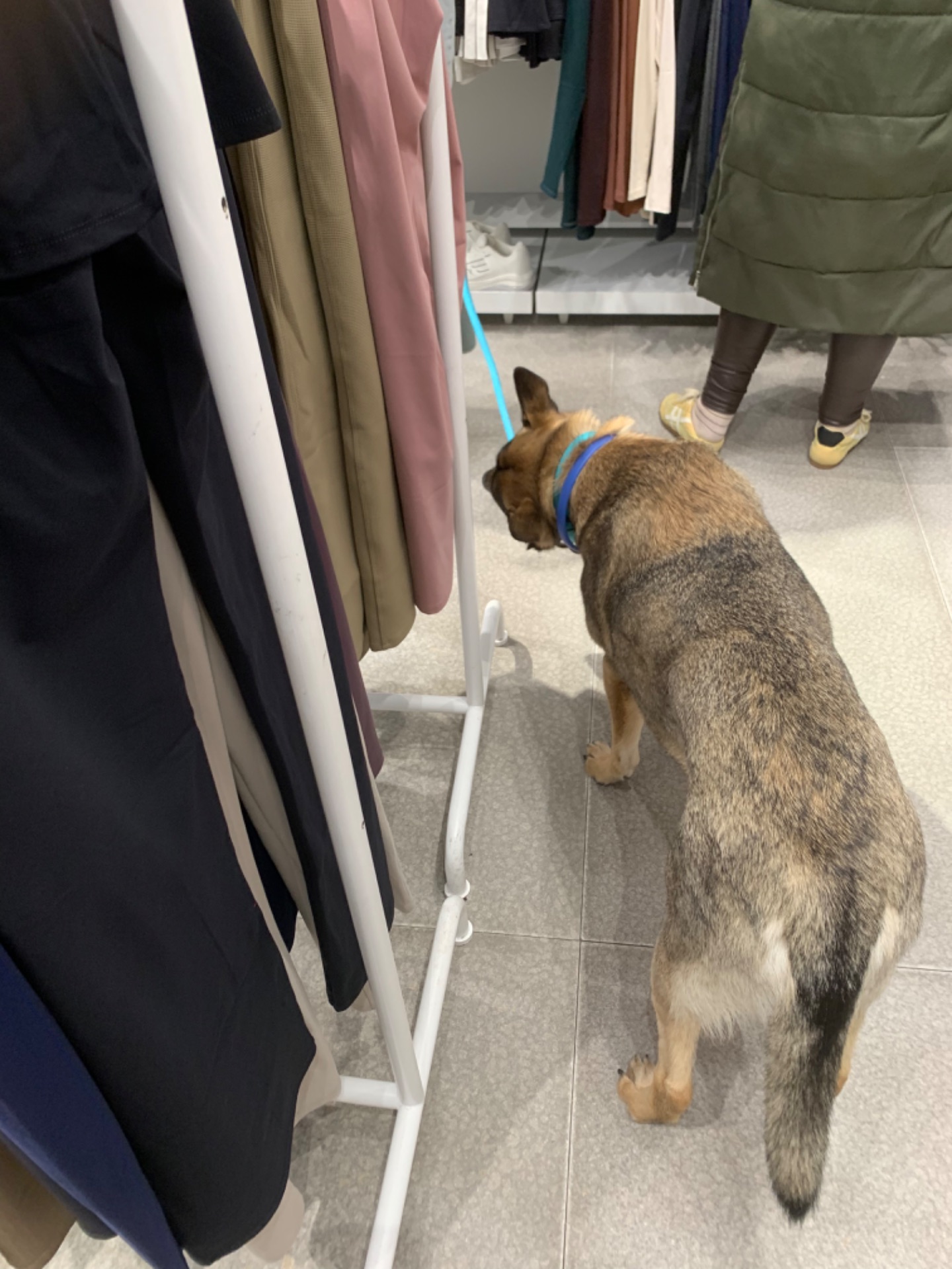 Шанс на життя