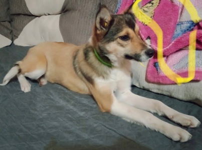 Шанс на життя