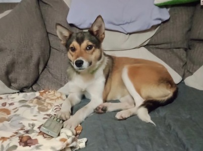 Шанс на життя