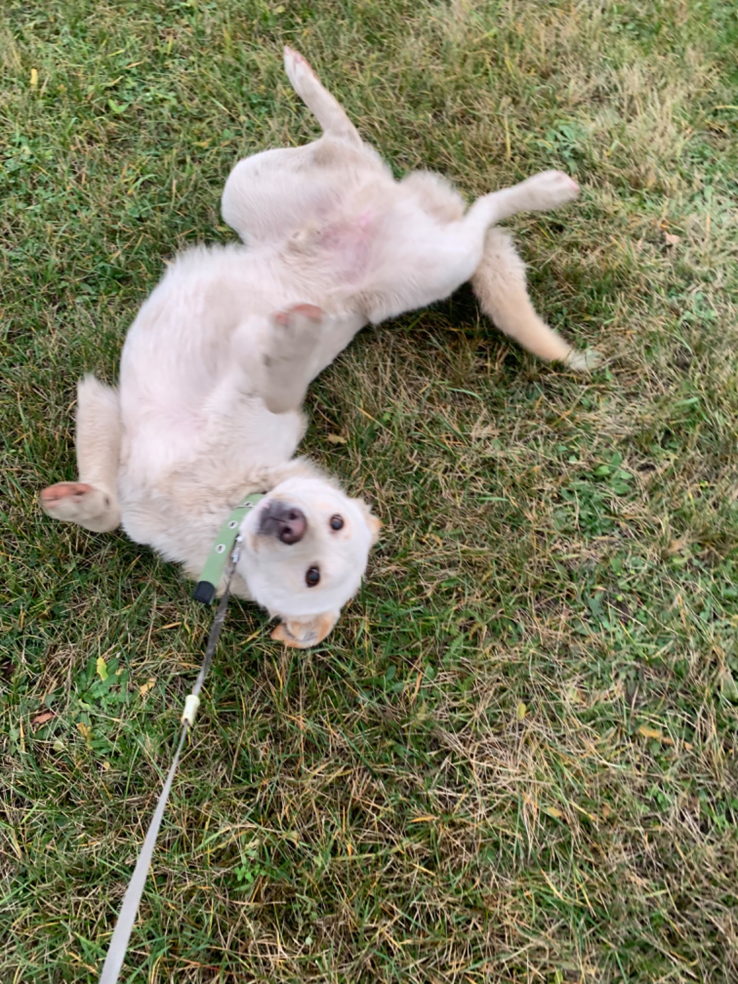 Найдобрішу родину