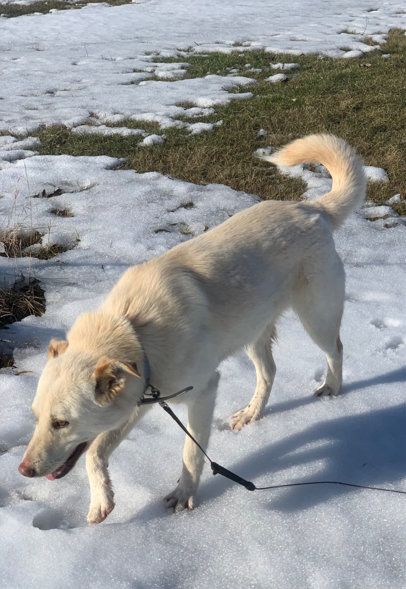 Найдобрішу родину