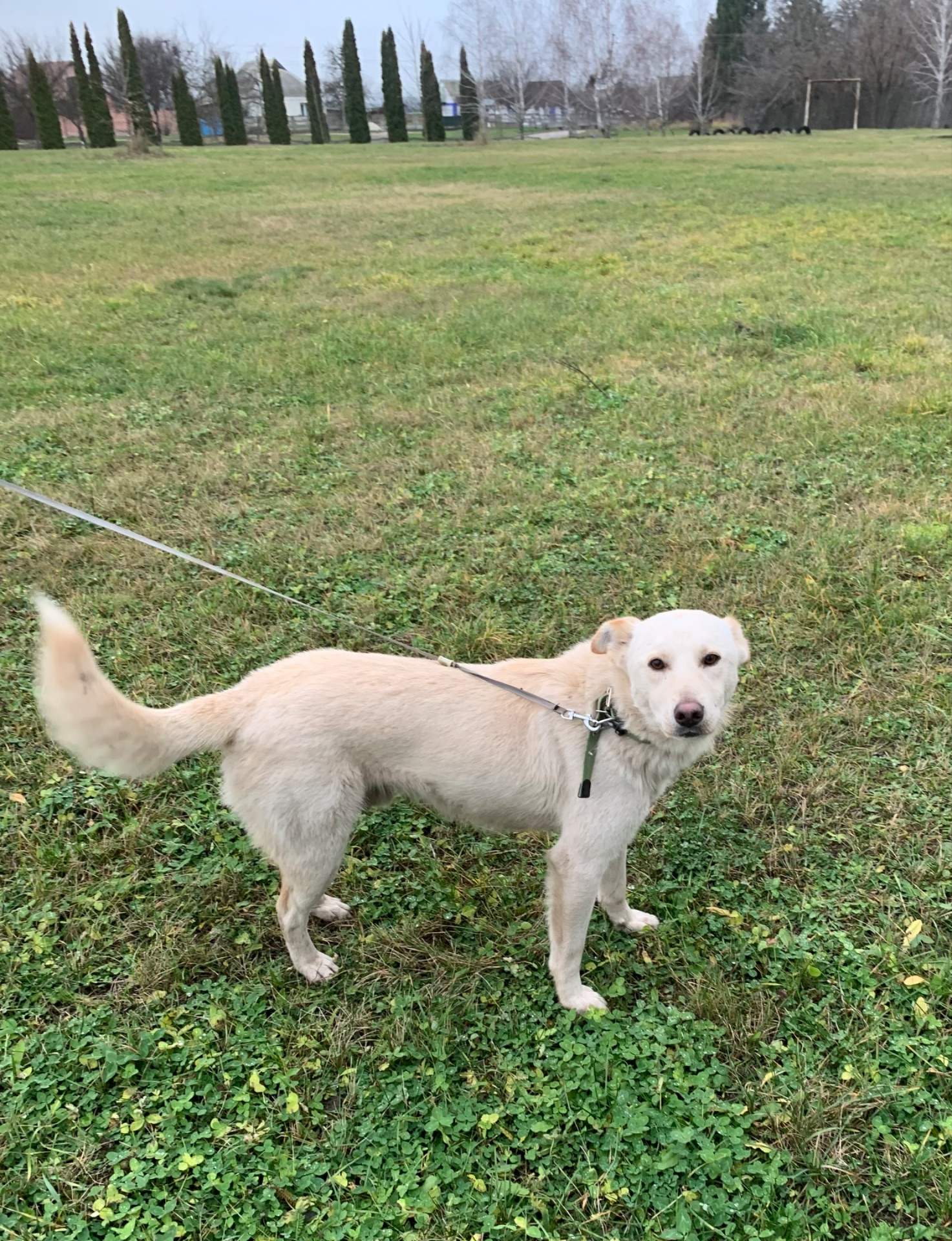 Найдобрішу родину