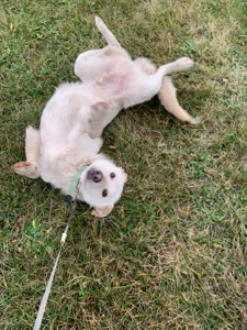 Найдобрішу родину