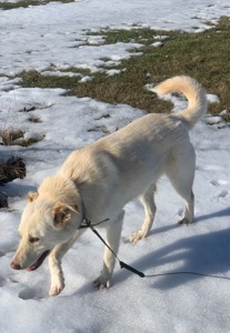 Найдобрішу родину