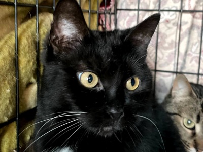 Ненсі заслуговує на любов